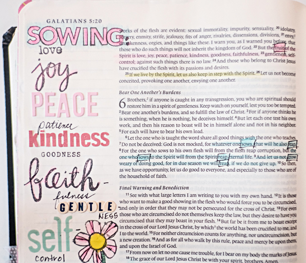 Debby Schuh | What Comes First When Creating an Entry