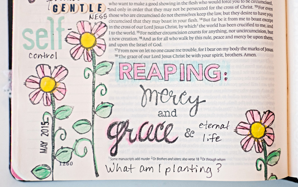 Debby Schuh | What Comes First When Creating an Entry