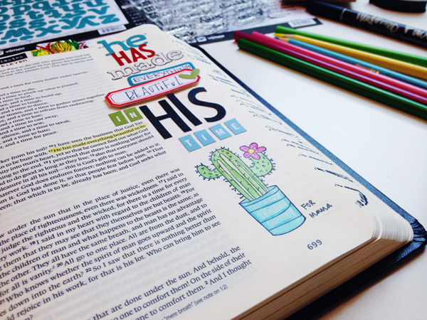 EcclesiastesCactus_AndreaGray_Photo3