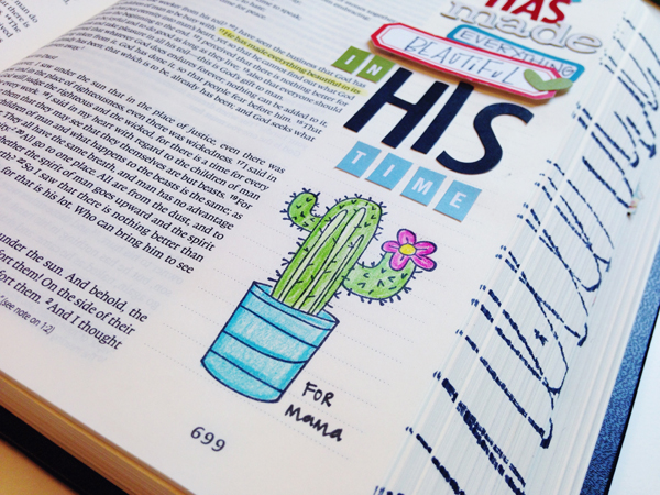 EcclesiastesCactus_AndreaGray_Photo4