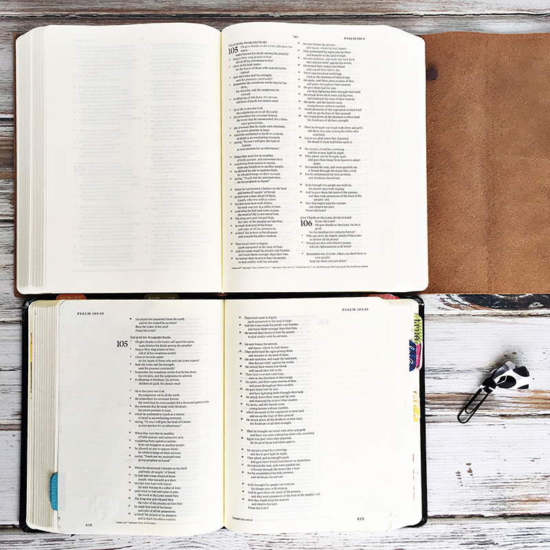 Heather Greenwood is comparing the ESV Interleaved Journalinng Bible with the ESV Single Column Journaling Bible