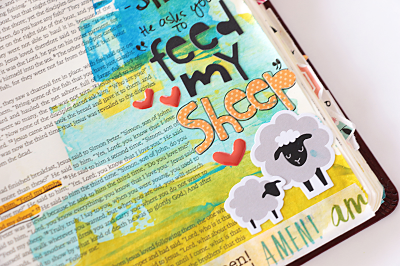 process video and message about being called to "feed my sheep" and not leadership "leader sheep" by Natalie Elphinstone