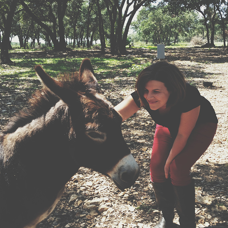 Processed with VSCOcam with t1 preset