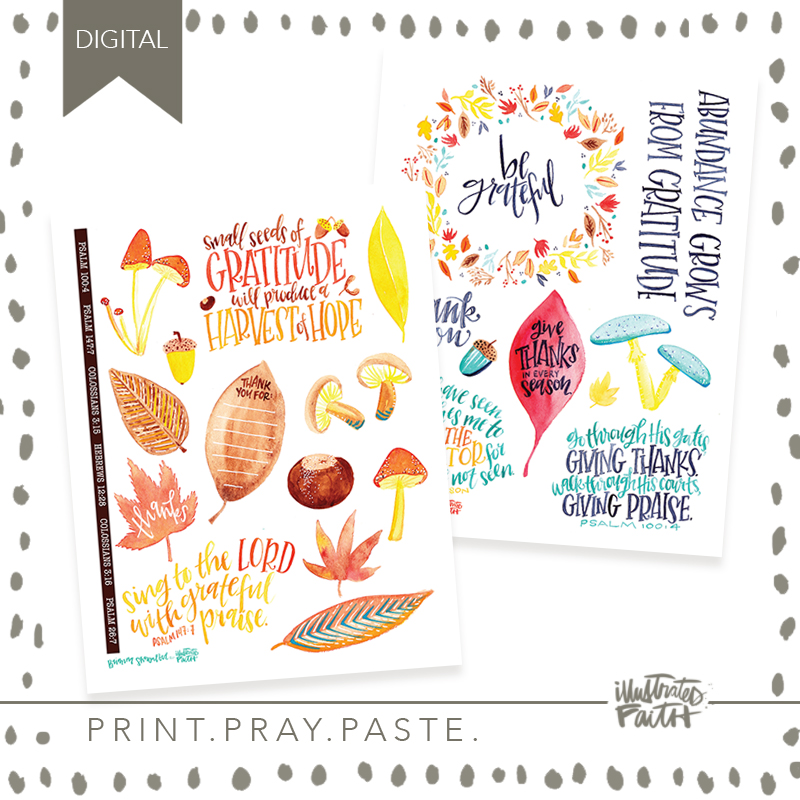 seedofgratitude_preview1