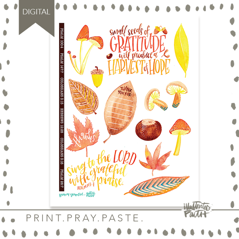 seedofgratitude_preview2