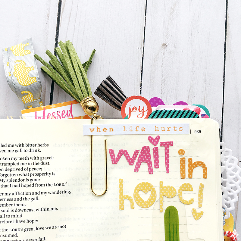 Worth the Wait Bible Journaling entry by Bailey Jean Robert | Wait with Hope | cactus, hexies, homespun alpha, transparency