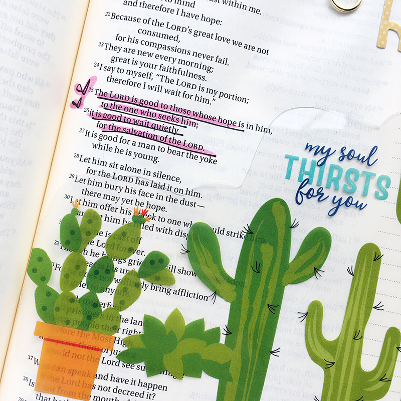 Worth the Wait Bible Journaling entry by Bailey Jean Robert | Wait with Hope | cactus, hexies, homespun alpha, transparency