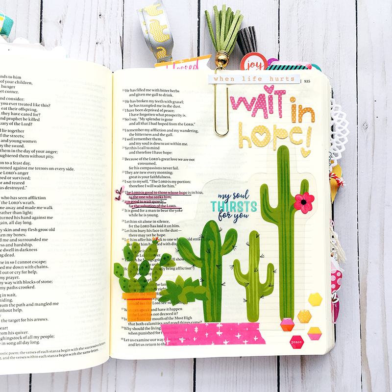 Worth the Wait Bible Journaling entry by Bailey Jean Robert | Wait with Hope | cactus, hexies, homespun alpha, transparency