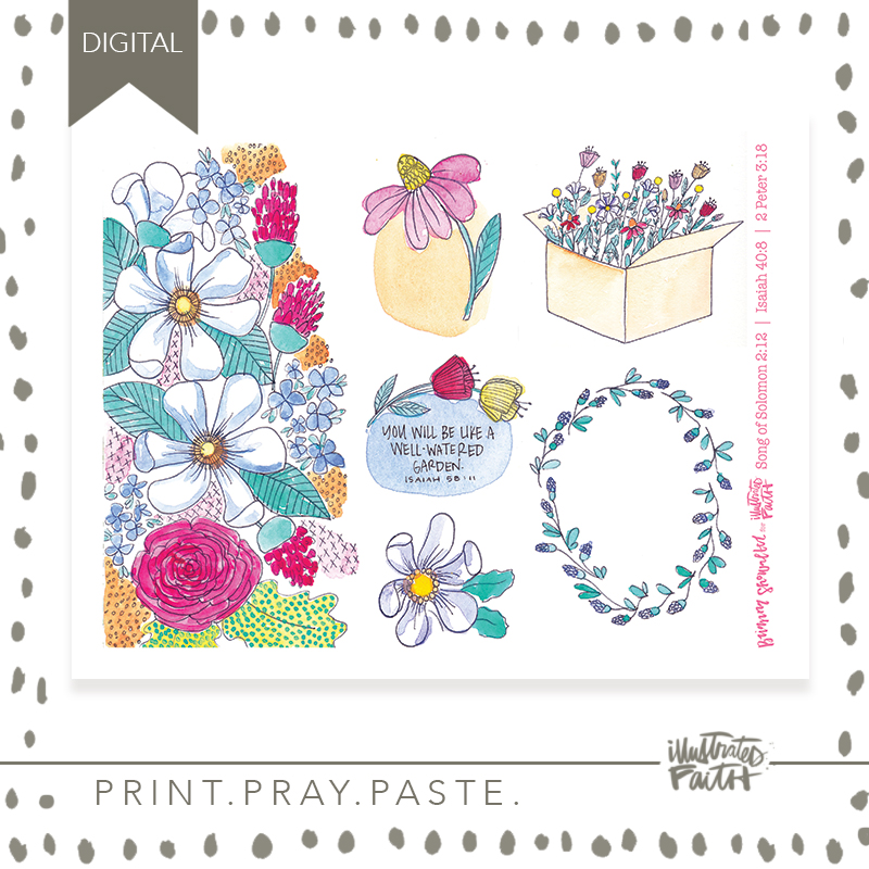 WellWatered_preview2