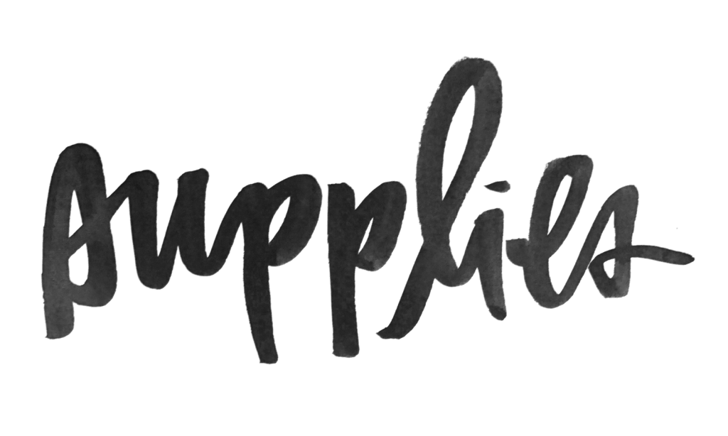 Illustrated Faith Blog Supplies Image