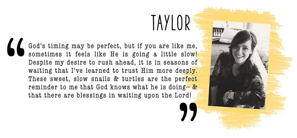 June Better Together Artist Mood Board & New Releases: Just Wait & See | Brave Little Taylor