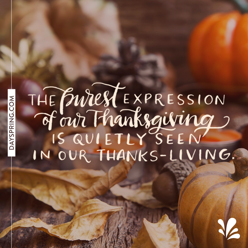 Happy Thanksgiving from Illustrated Faith and DaySpring