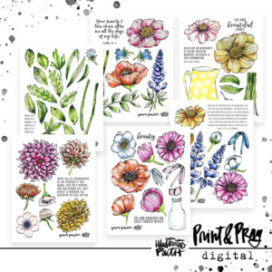 Chased by Beauty | Color