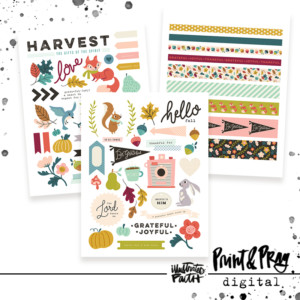 Gratitude 2018 Ephemera Set