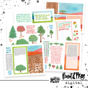 Trees in the Desert Devotional Kit