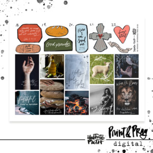 52 Week Bible Study: Ephemera Weeks 18-22