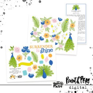 Surrender & Shine Devotional Kit