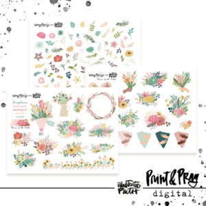 Flowers of the Field