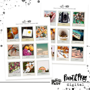 Prayer Prints- Gratitude Documented 2020