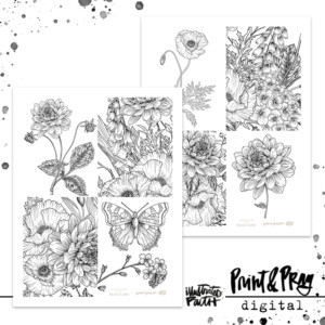 A Field Guide to the Beatitudes Coloring Cards