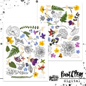 A Field Guide to the Beatitudes Ephemera