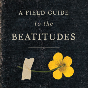 A Field Guide to the Beatitudes Cards (Digital)