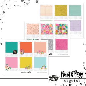 The Whatever Principle Extra Polaroids