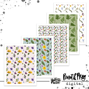 A Field Guide to the Beatitudes Papers