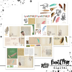 Field Notes for Freedom