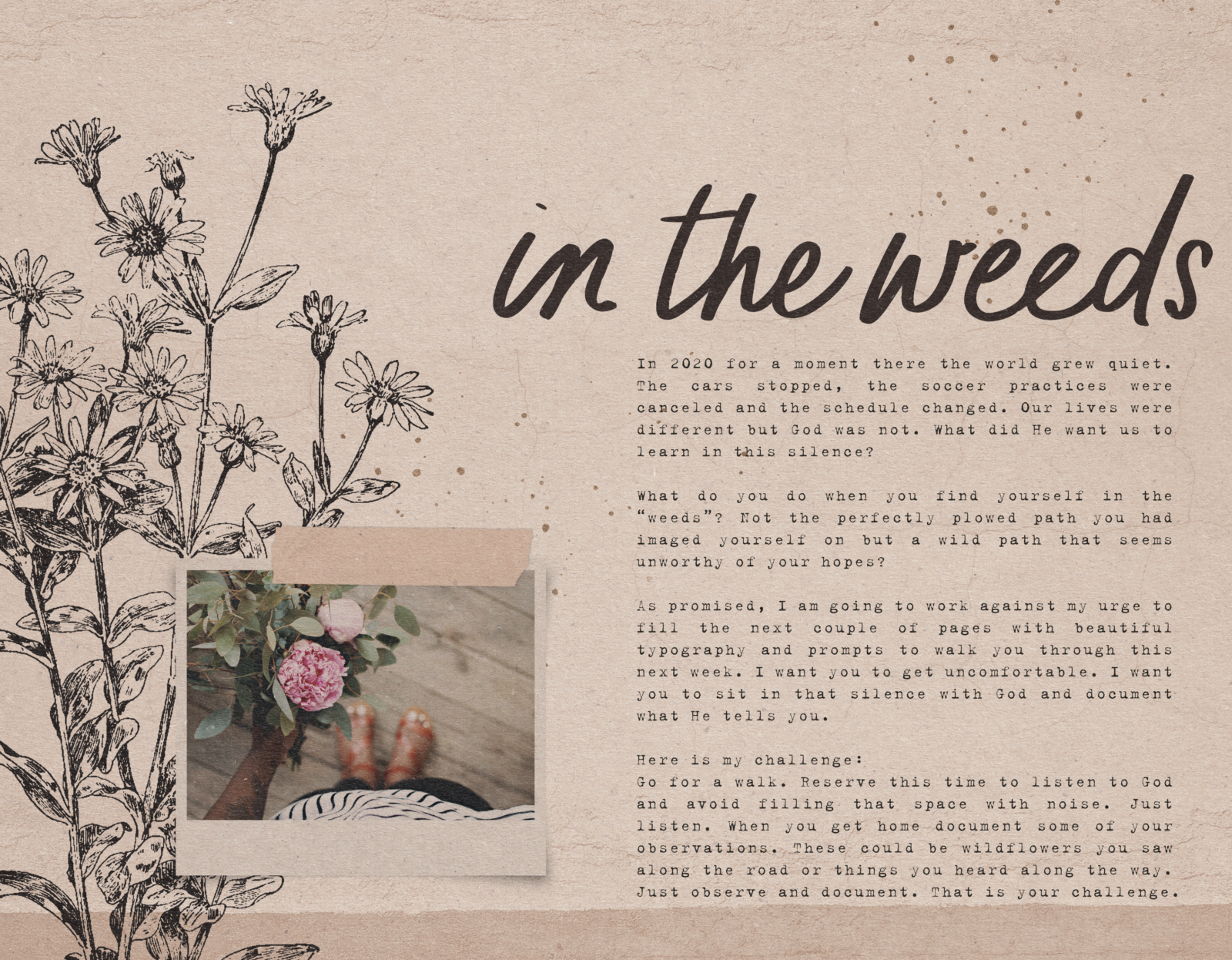 weeds and wildflowers spread 1