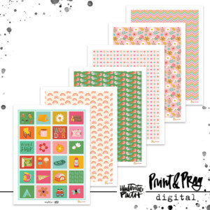 Camp Wonder Goodies Patterned Paper Bundle