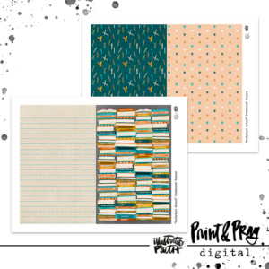 Scripture School Patterned Paper Bundle