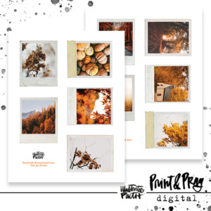 Gratitude 2021 Fall Photos