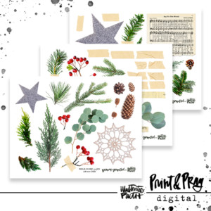 A Field Guide to Joy Ephemera