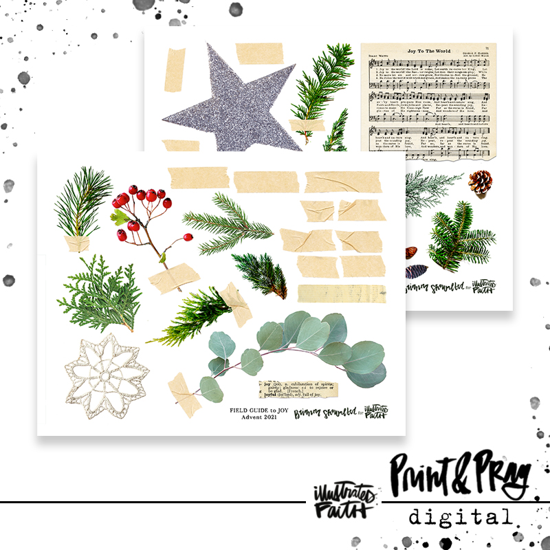 FieldGuidetoJoy_ephemera_preview3