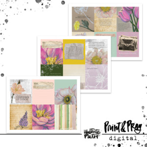 Glimpses of Grace Cards