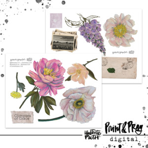 Glimpses of Grace Ephemera