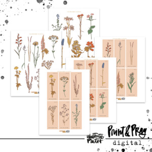 Camp Wildflower Flashcards