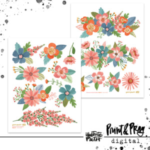 Summer in the Psalms Part 4 Ephemera