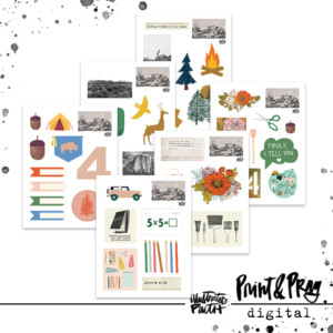 Truth Camp Session 2  Ephemera ( Digital )