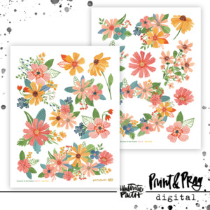 Summer in the Psalms Part 5 Ephemera