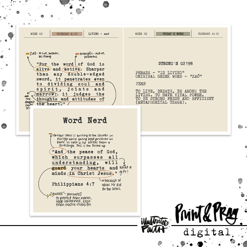 WordNerd2022_preview