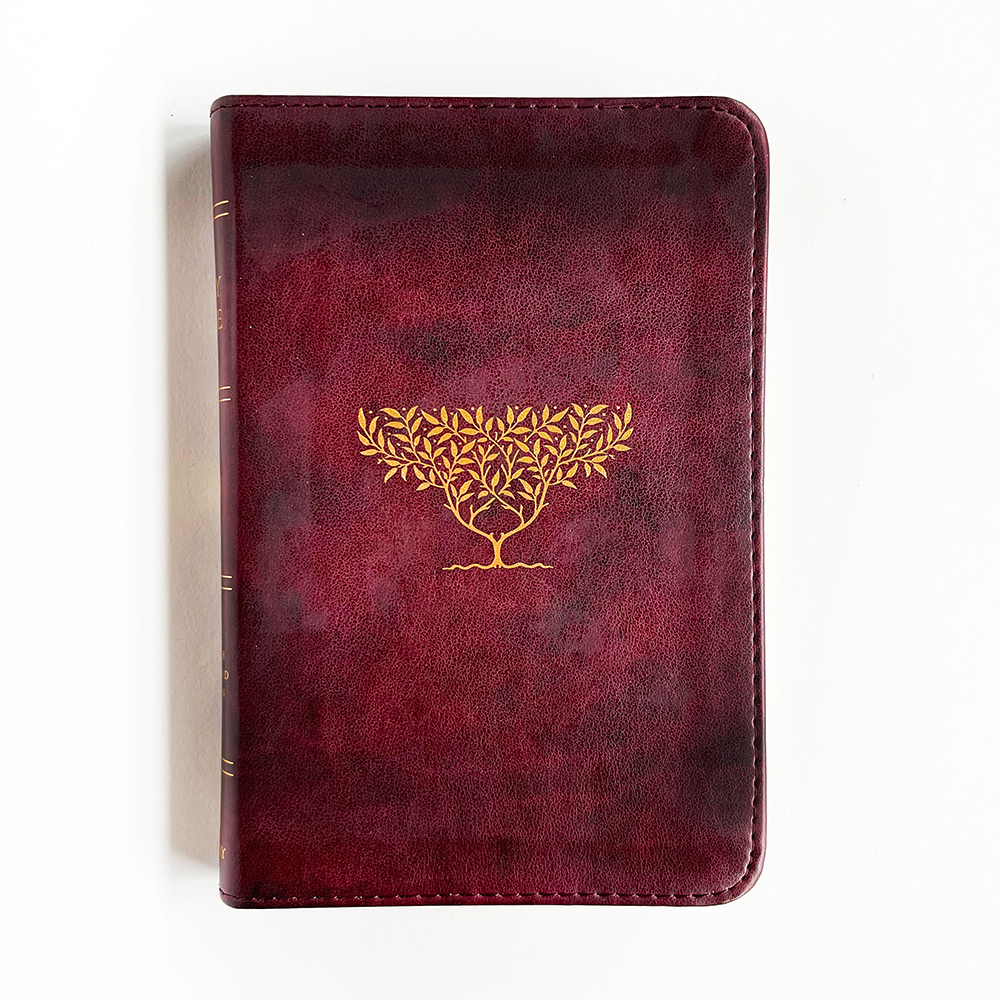 OlliveTreeBible
