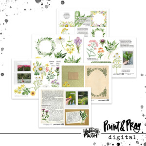 Experiencing God: Wander