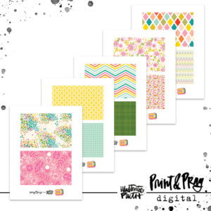 Camp 4x6 Cards- Patterns