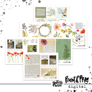 Experiencing God: Trust