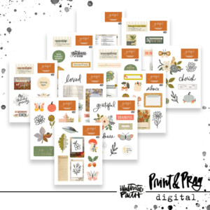 Gratitude Documented 2023 Ephemera (digital)