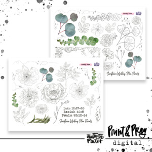 2024 Scripture Writing Plan Florals