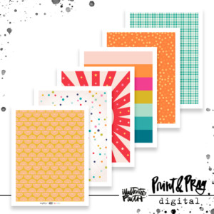 State Fair Patterned Paper Bundle