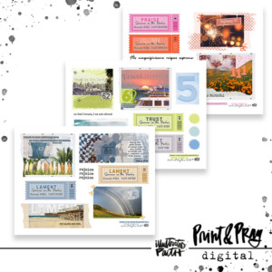 Psalms Documented Vol. 2